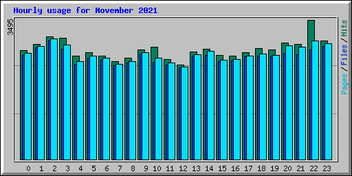 Hourly usage for November 2021