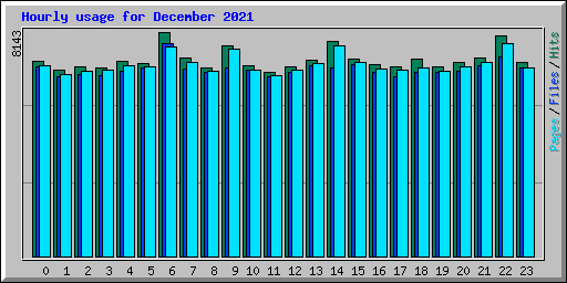 Hourly usage for December 2021