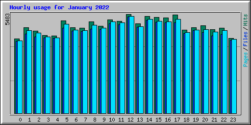 Hourly usage for January 2022
