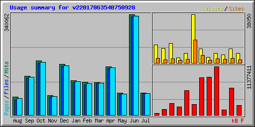 Usage summary for v22017063540750928